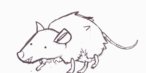 a RAT!!!